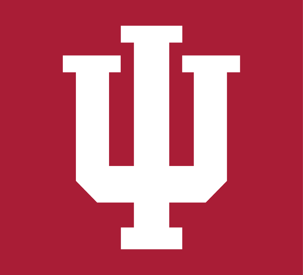 Indiana Hoosiers 2002-Pres Alternate Logo v2 iron on transfers for T-shirts